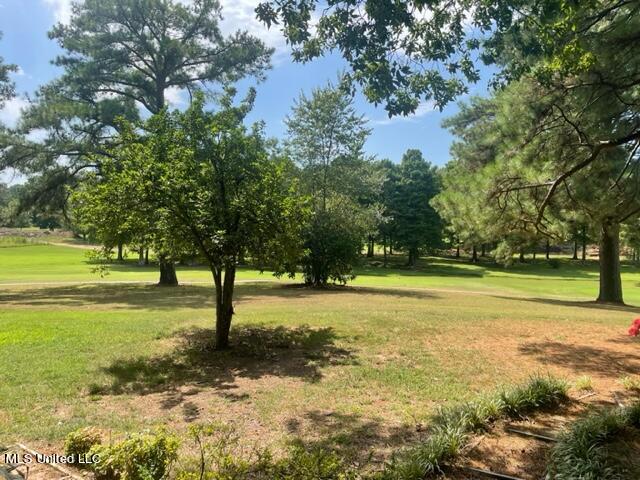 530 Gwen Road Senatobia, MS 38668 - Photo 76 of 90 IMG_1847