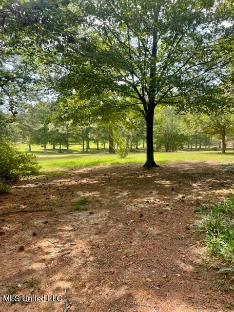 530 Gwen Road Senatobia, MS 38668 - Photo 77 of 90 IMG_1850