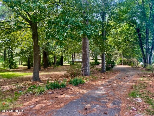 530 Gwen Road Senatobia, MS 38668 - Photo 86 of 90 IMG_1862