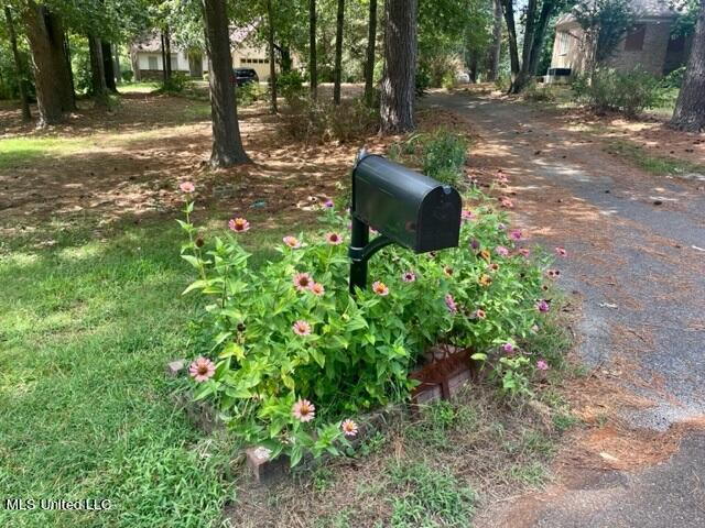530 Gwen Road Senatobia, MS 38668 - Photo 87 of 90 IMG_1860