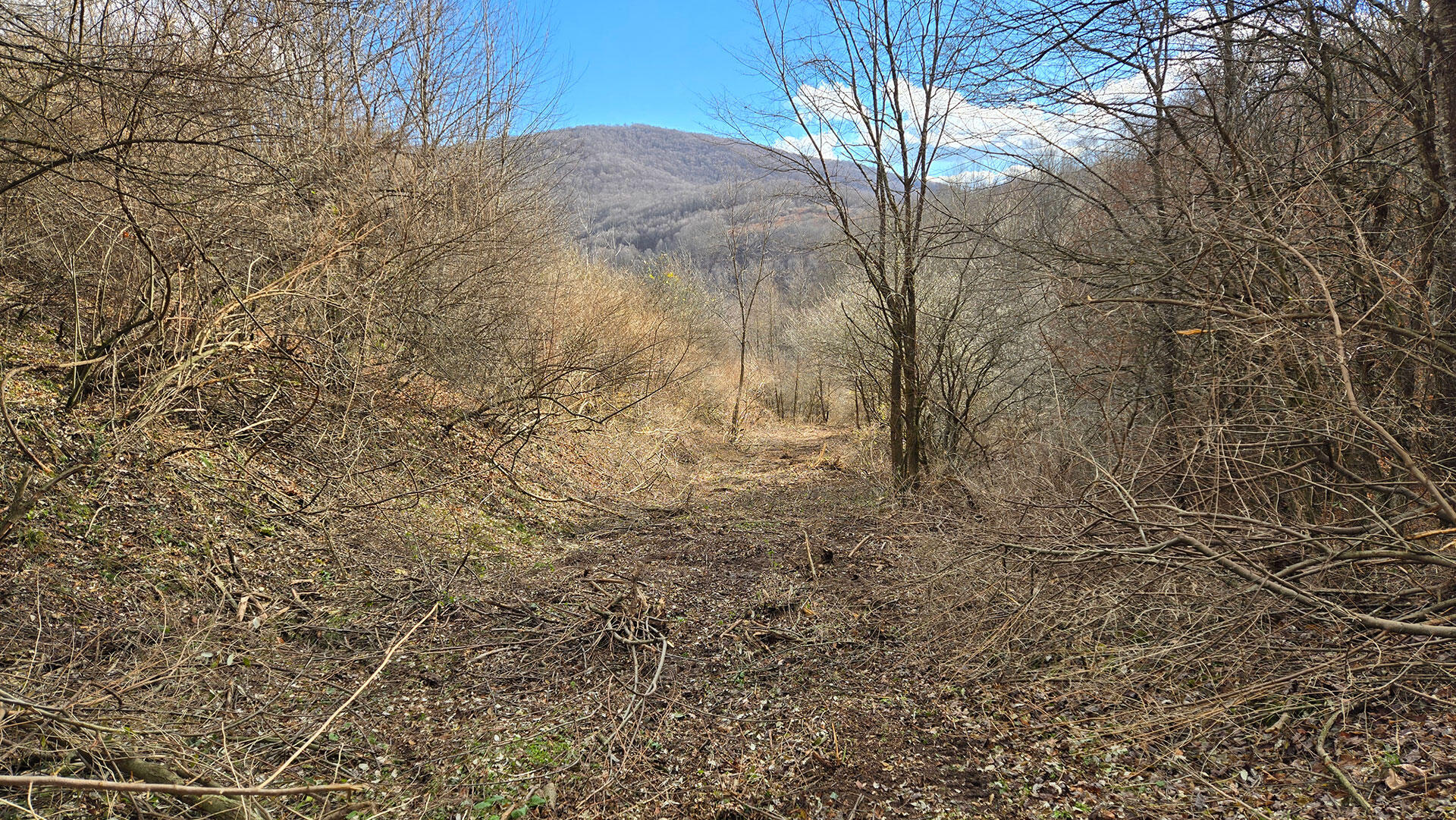 27 Acres Big Spring Slatyfork, WV 26291 - Photo 9 of 22 Right-of-Way
