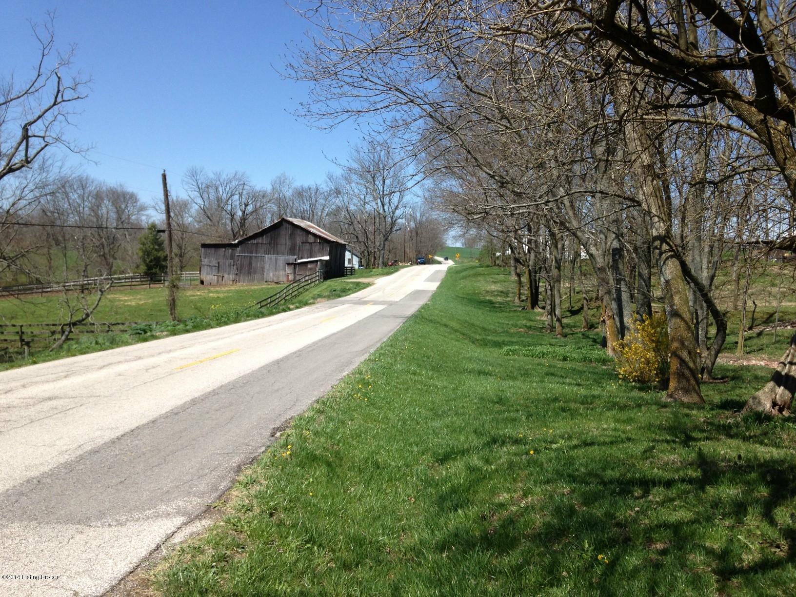 1044 Sulphur Road New Castle, KY 40050 - Photo 39 of 39 STREET WEST VIEW