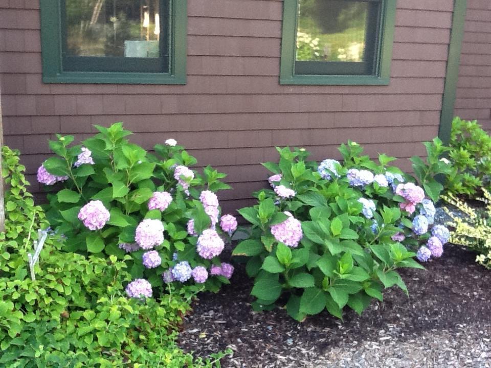 1212 Newbury Neck Road Surry, ME 04684 - Photo 57 of 81 3AB14720-92ED-4089-86CF-4412D1400AE8