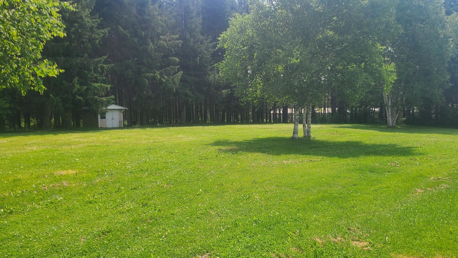 676 Houlton Road Westfield, ME 04787 - Photo 11 of 18