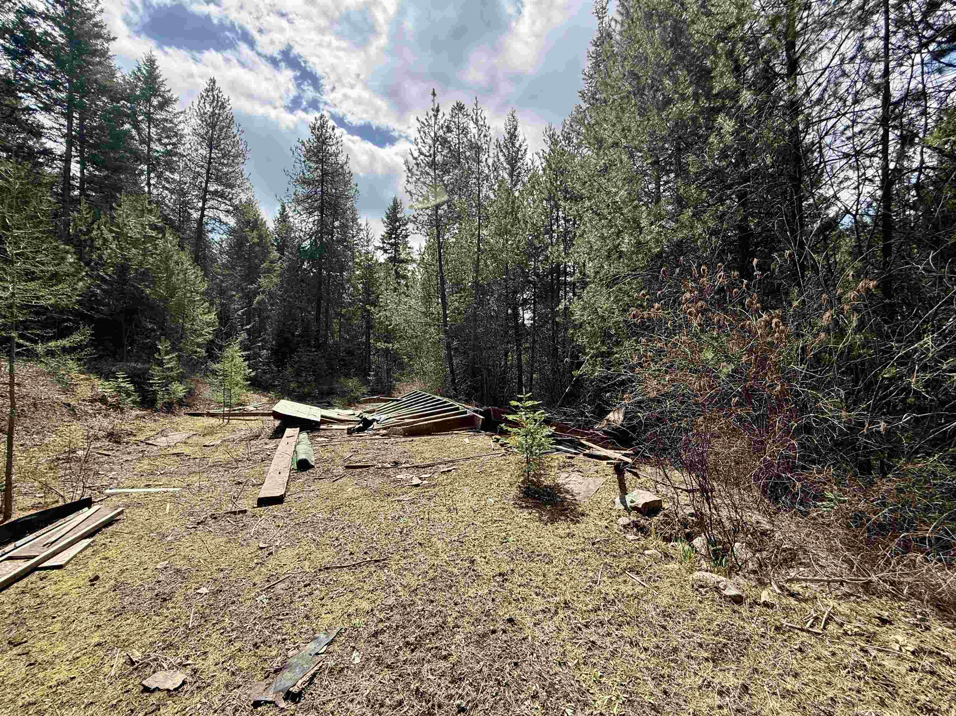 3706 South Waitts Lake Road Valley, WA 99181 - Photo 12 of 16