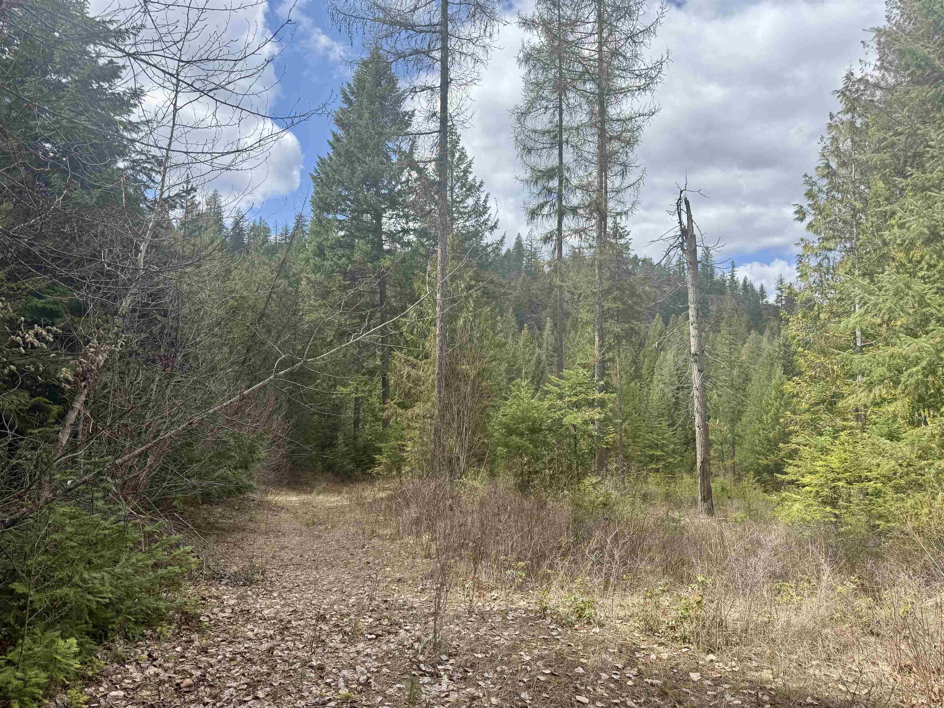 3706 South Waitts Lake Road Valley, WA 99181 - Photo 14 of 16