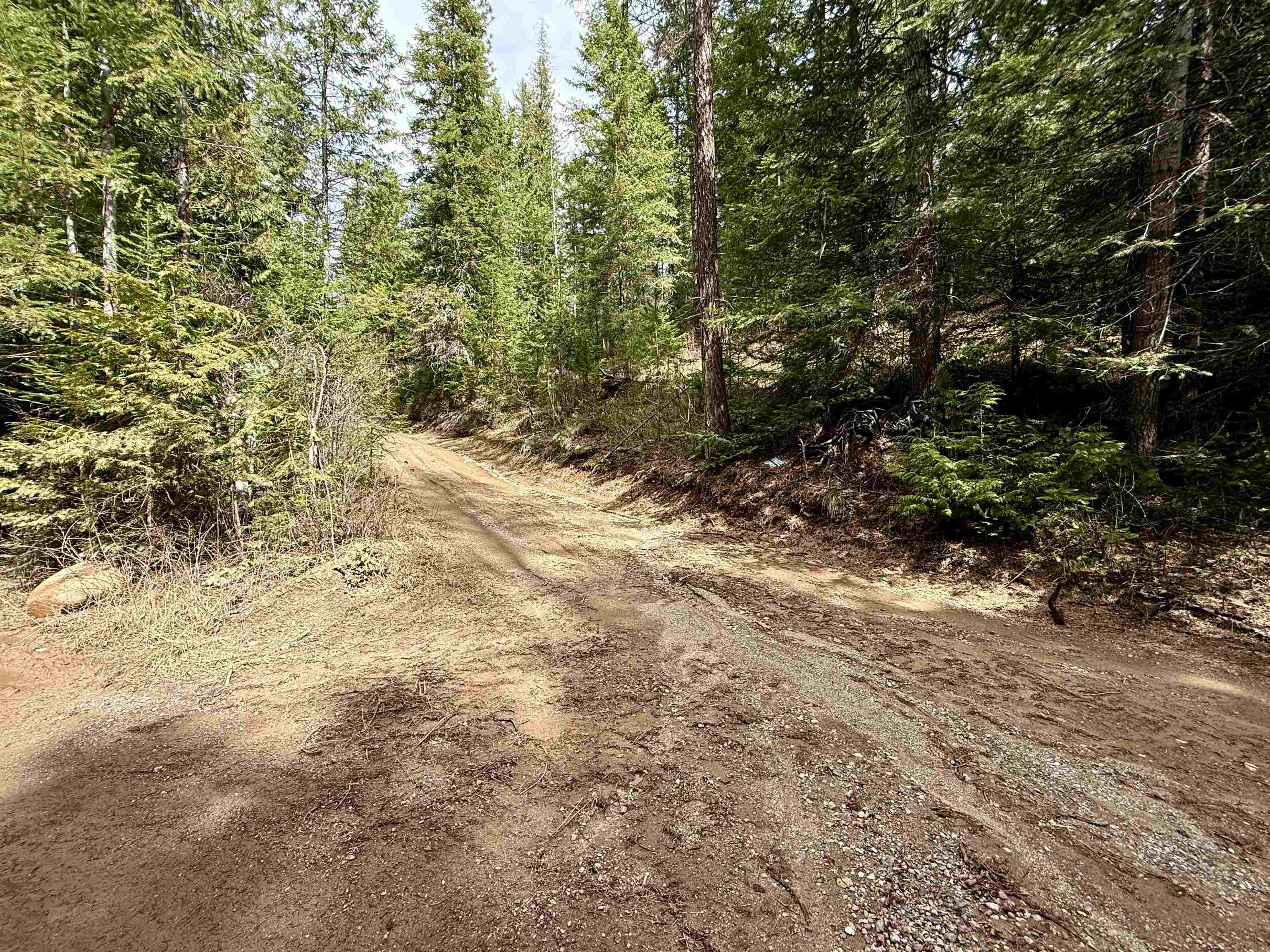 3706 South Waitts Lake Road Valley, WA 99181 - Photo 5 of 16