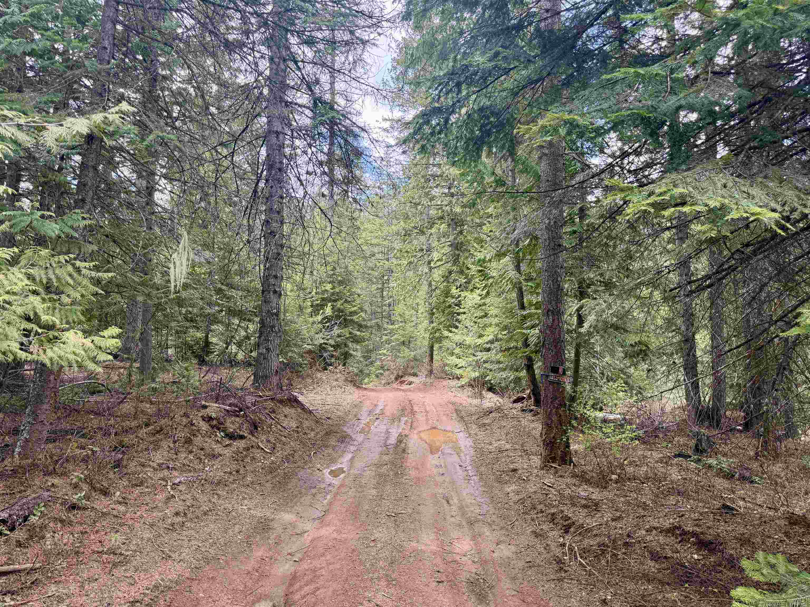 3706 South Waitts Lake Road Valley, WA 99181 - Photo 6 of 16