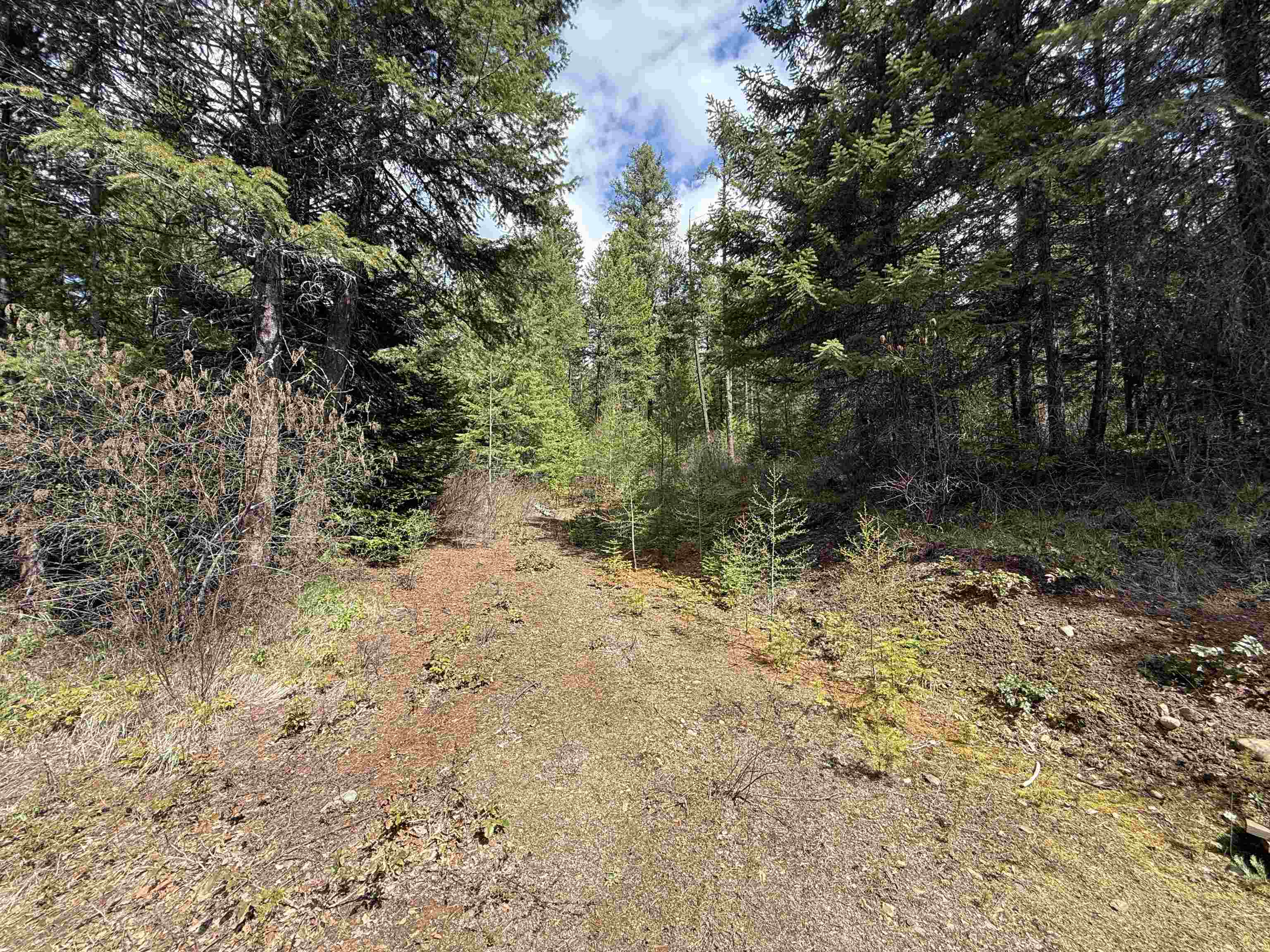 3706 South Waitts Lake Road Valley, WA 99181 - Photo 7 of 16
