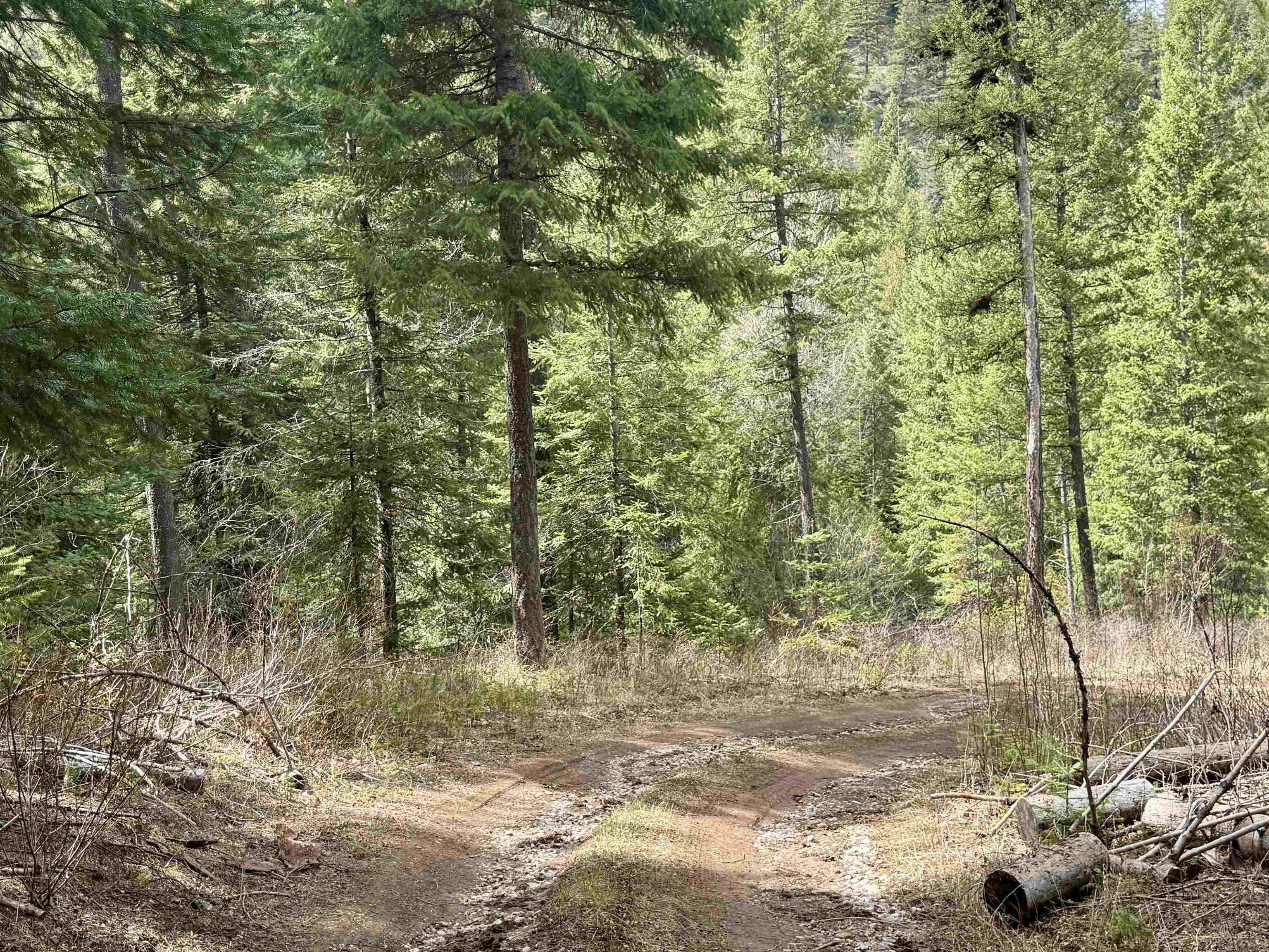 3706 South Waitts Lake Road Valley, WA 99181 - Photo 8 of 16