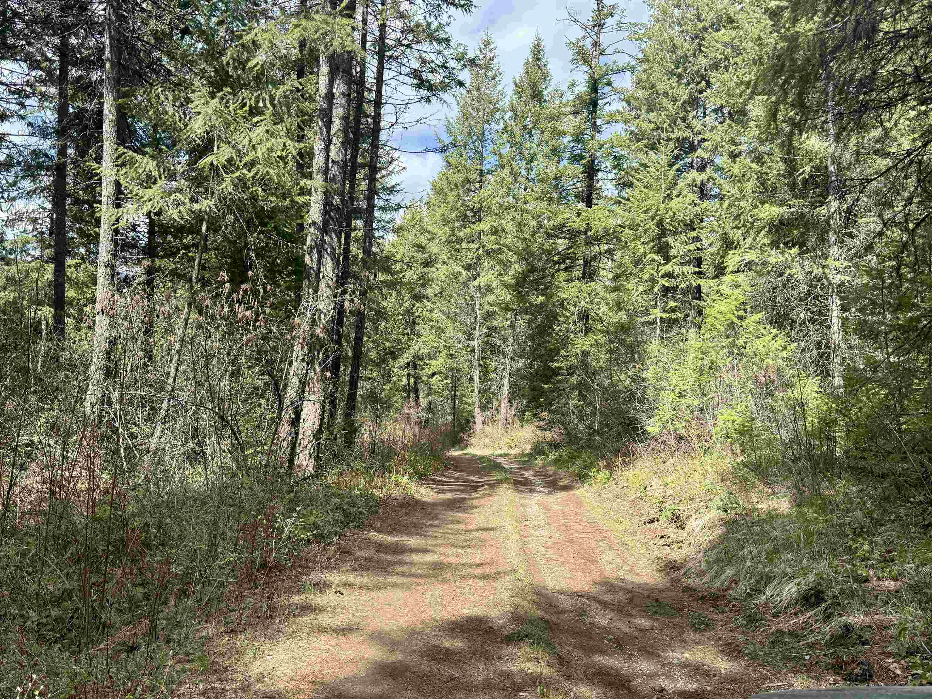 3706 South Waitts Lake Road Valley, WA 99181 - Photo 9 of 16