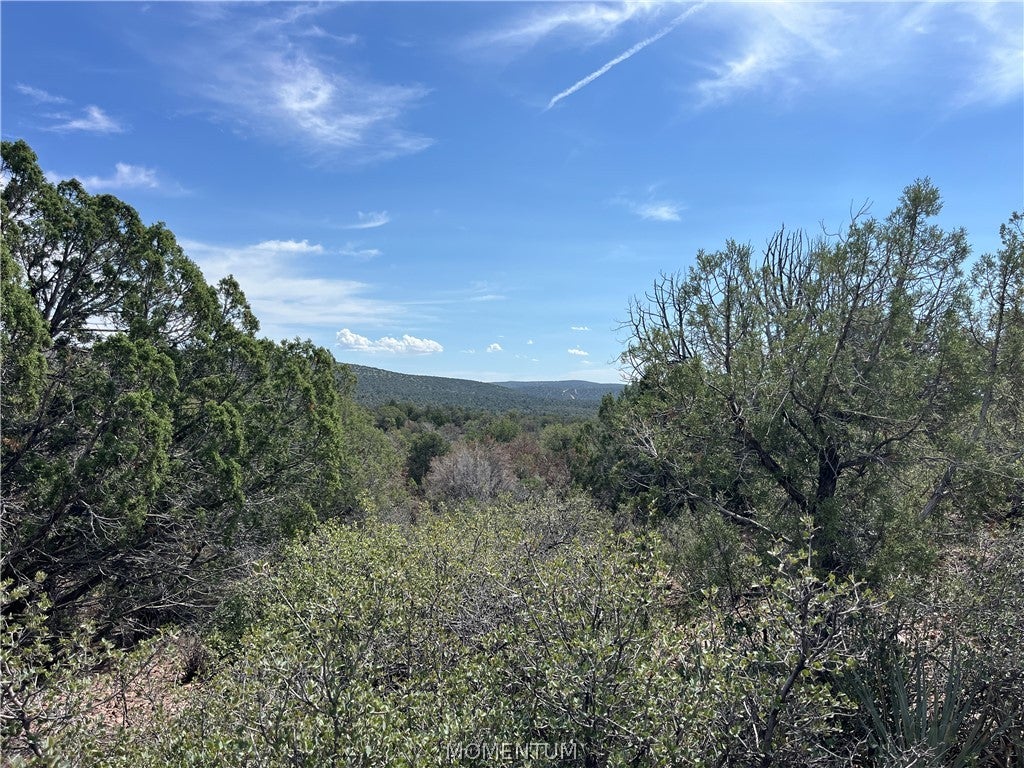 352-33-004 North Willows Ranch Road Kingman, AZ 86401 - Photo 6 of 16 Gallery Image 6