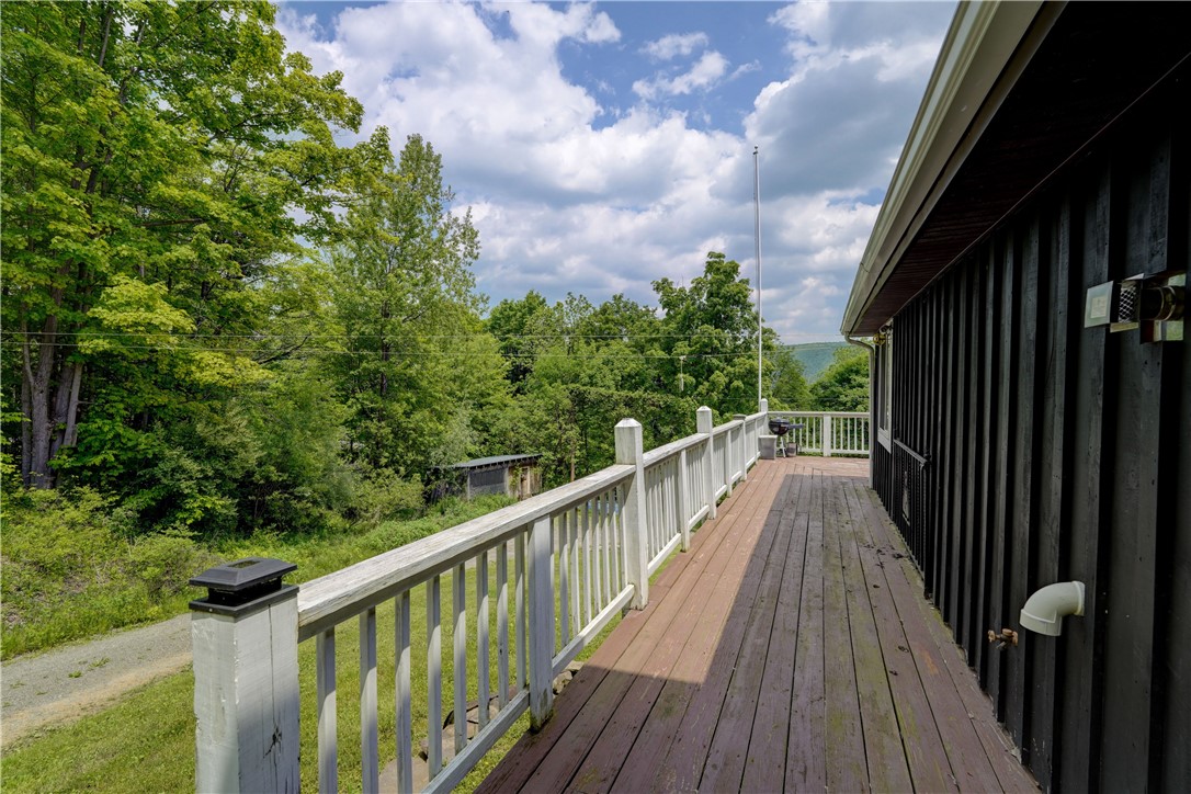 8929 Reckhow Lane Springwater, NY 14512 - Photo 43 of 50