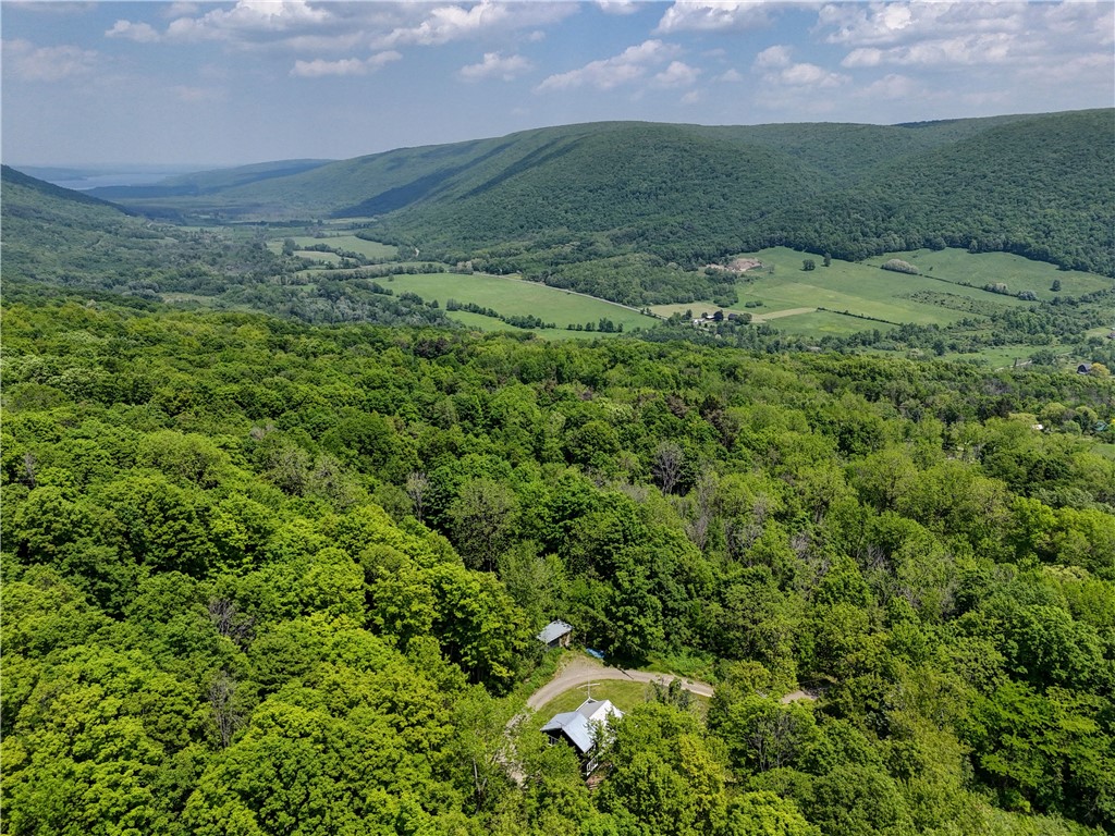 8929 Reckhow Lane Springwater, NY 14512 - Photo 5 of 50