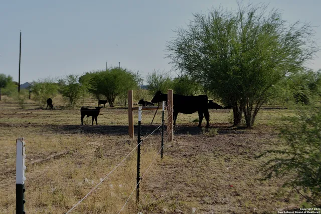 $260,000 | 3211 Cr 301, Knippa, TX 78870