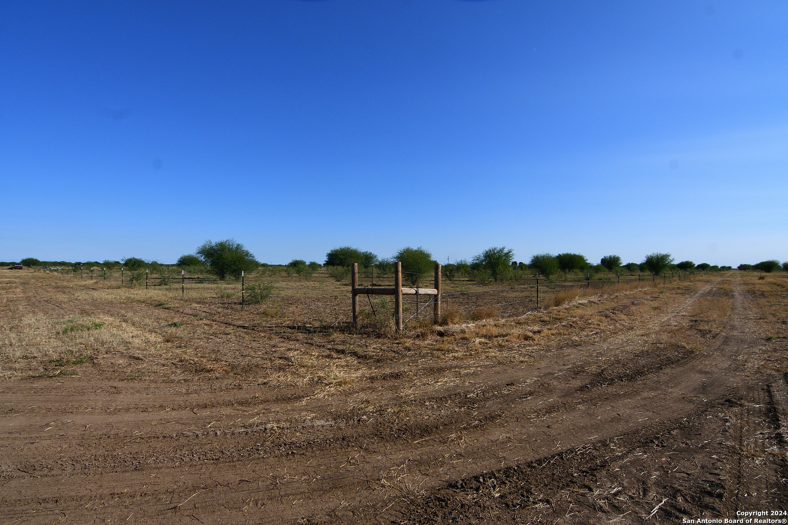 3211 Cr 301 Knippa, TX 78870 - Photo 7 of 12