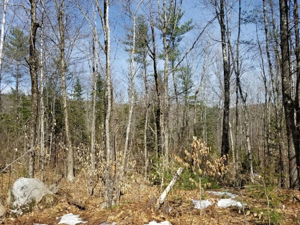 M7-l4-5 Jesse Ladd Road Vienna, ME 04360 - Photo 3 of 10 Photo
