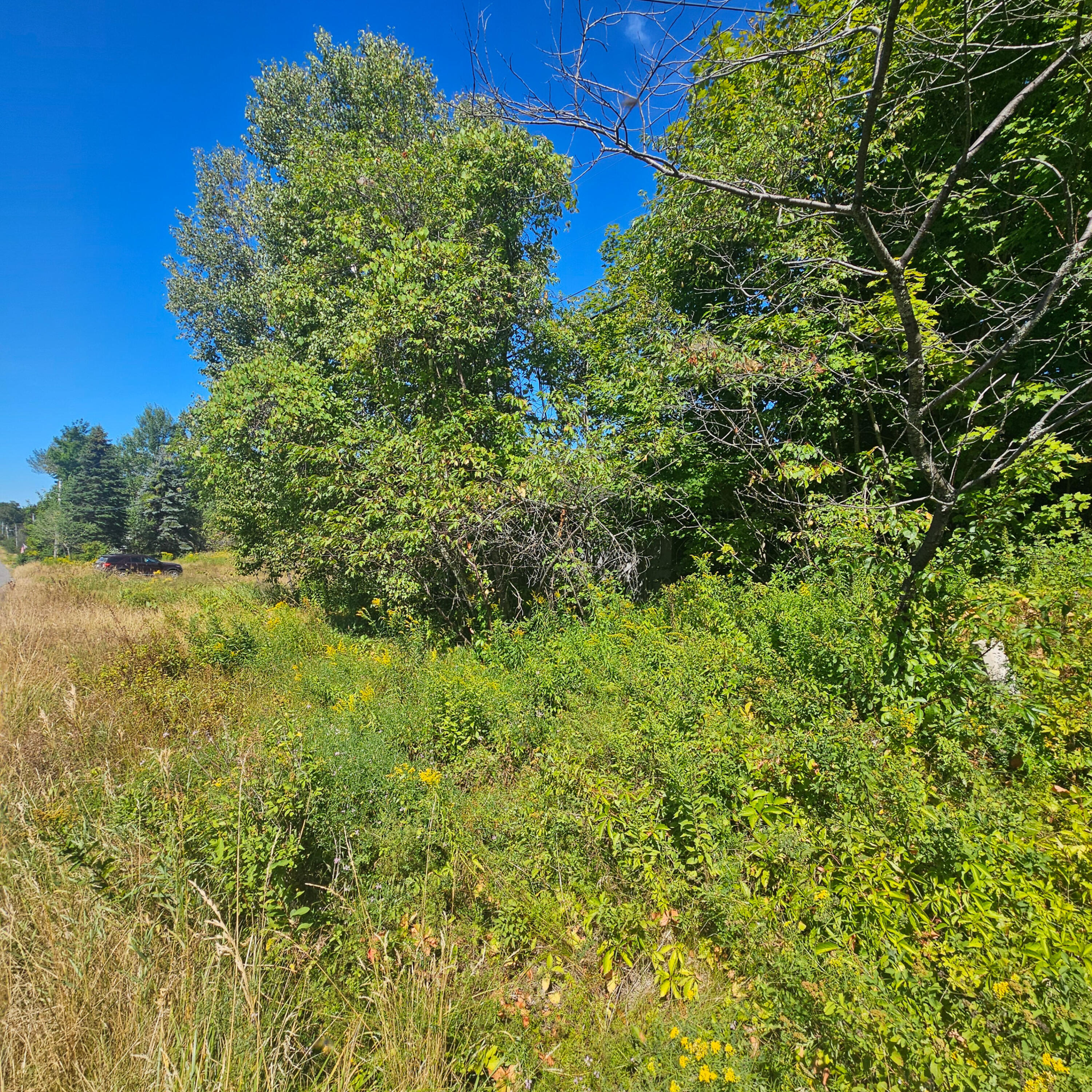796 Main Street Springfield, ME 04487 - Photo 19 of 23 18