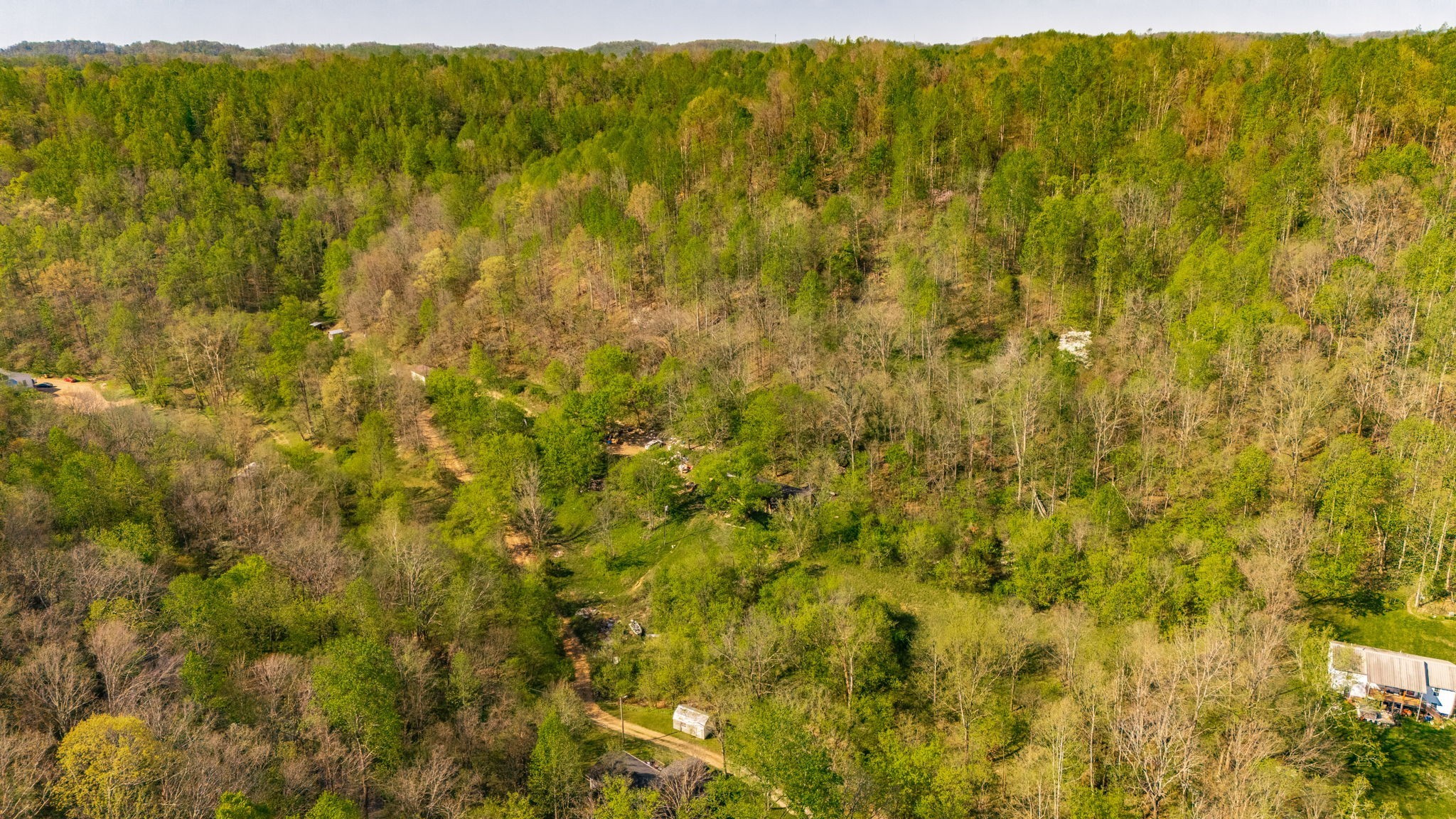 600 Leath Chapel Road Bethpage, TN 37022 - Photo 8 of 13