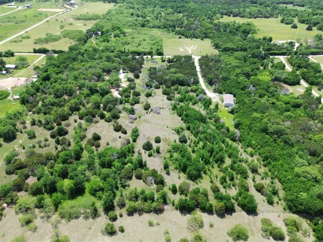 a view of a forest with a park