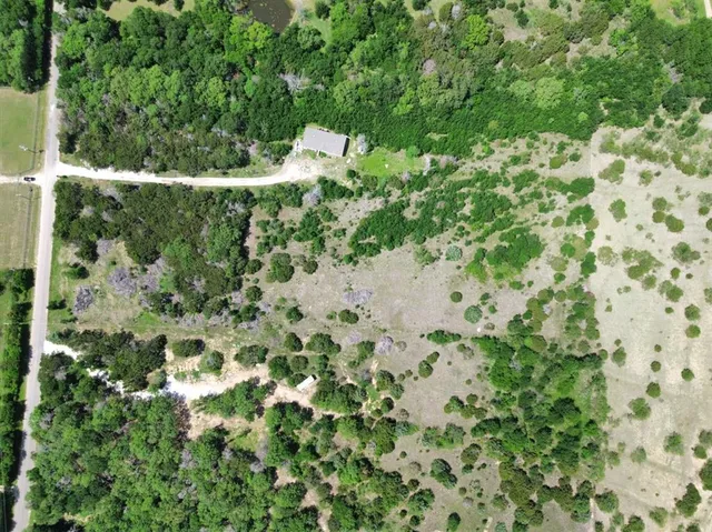 a view of a garden with a tree