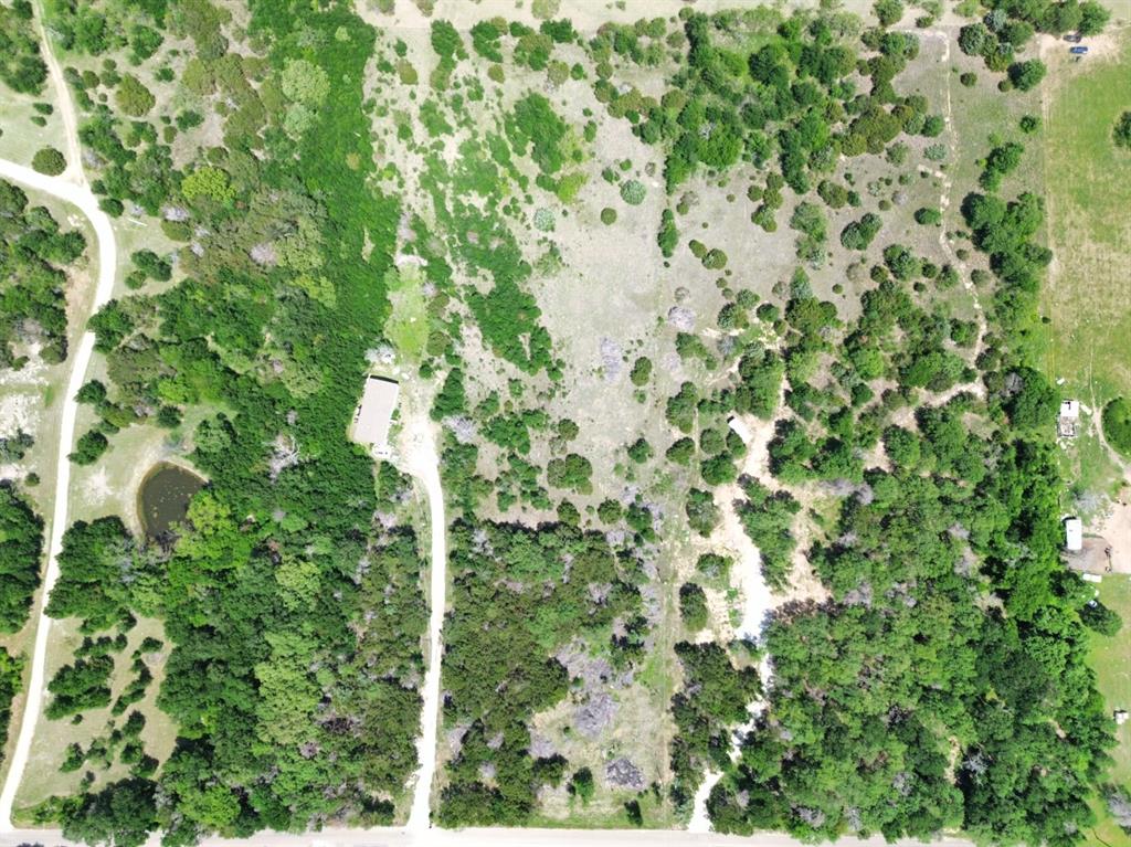 Tbd Clater Powell Road Waco, TX 76705 - Photo 7 of 8 a close up of a plant