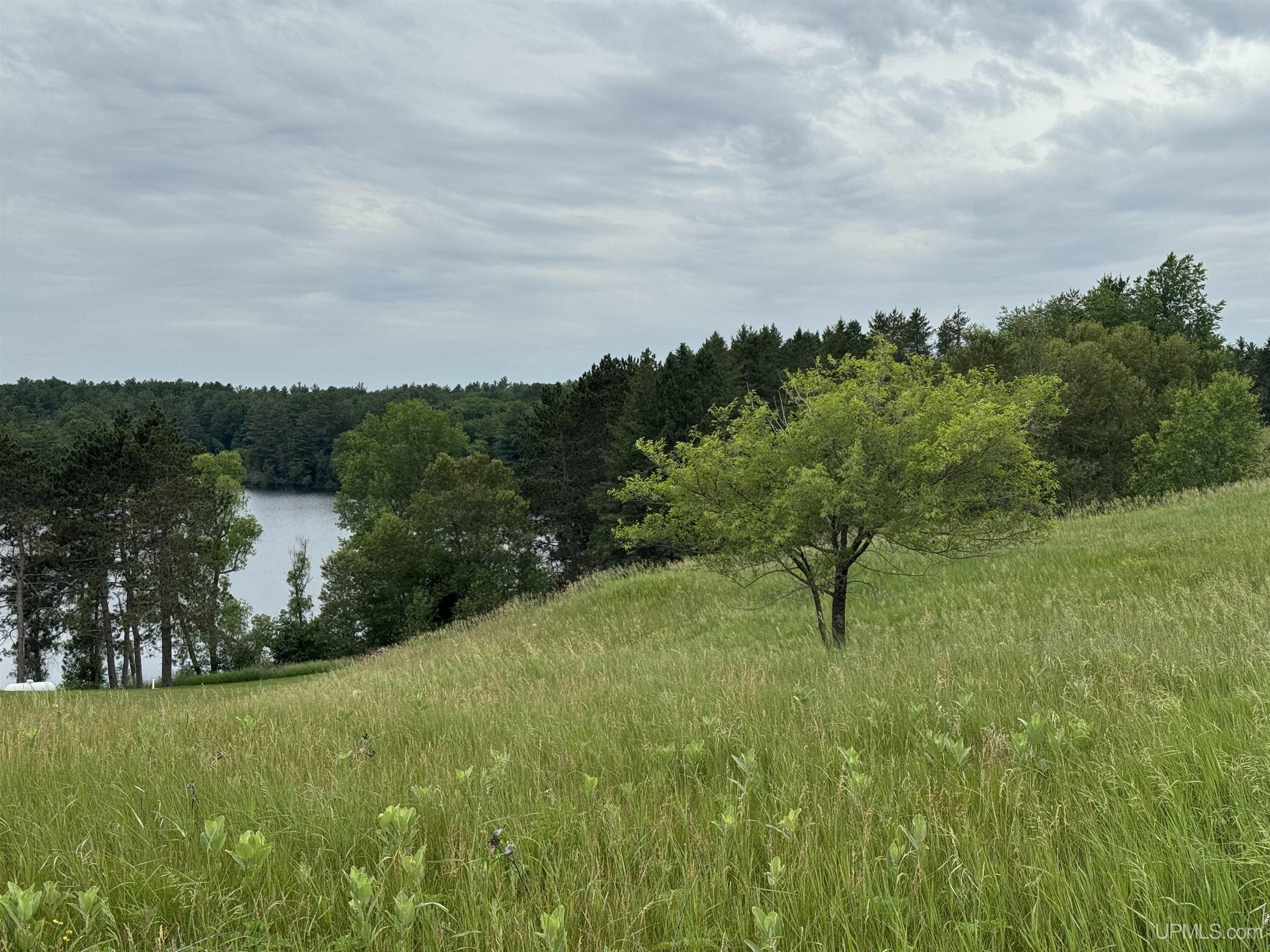 Tbd New York Lake Road Vulcan, MI 49892 - Photo 14 of 23