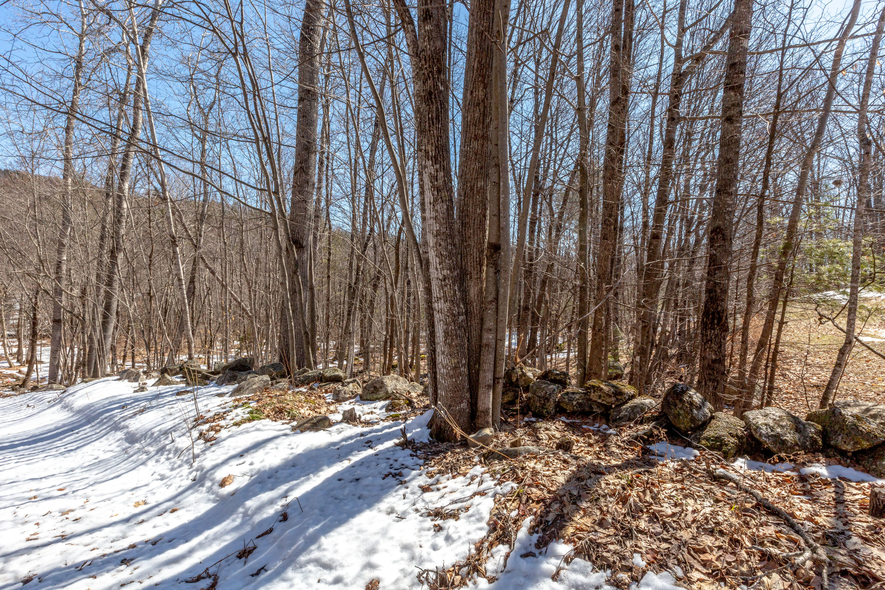 73 Bumptown Road Paris, ME 04281 - Photo 51 of 51 Bumptown_Prindle_51