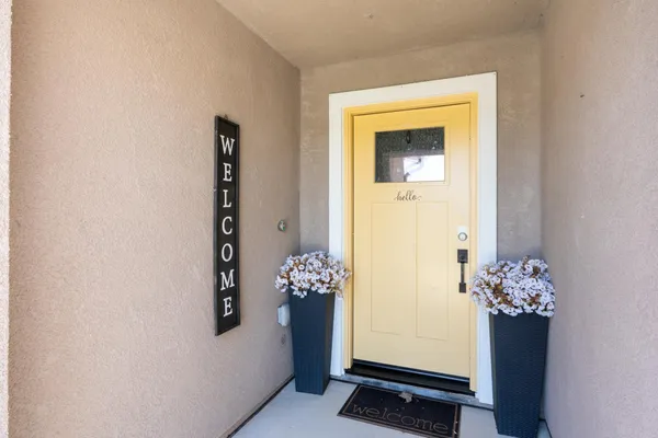 an entryway with a flower pot and a window