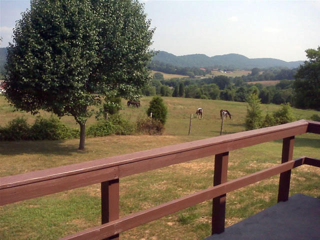 431 Keeble Road Maryville, TN 37804 - Photo 12 of 34 Back Deck View