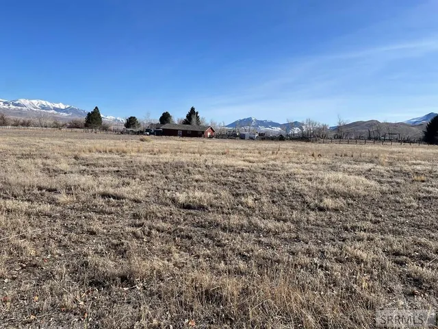 $189,000 | Tbd Rod And Gun Club Loop, Challis, ID 83226