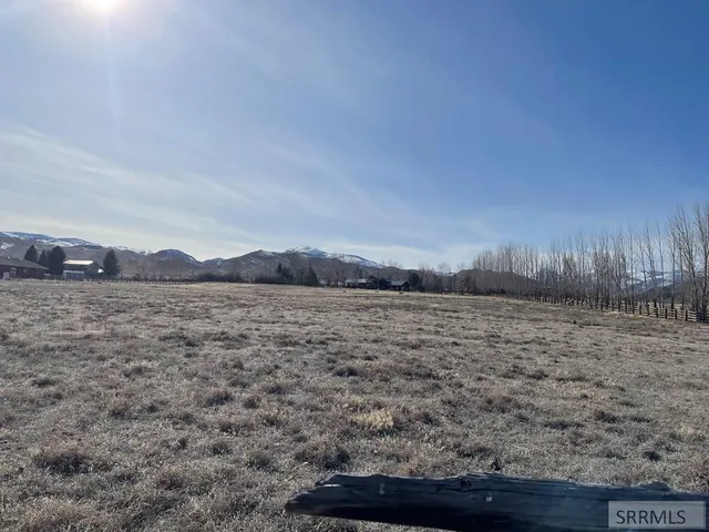 $189,000 | Tbd Rod And Gun Club Loop, Challis, ID 83226