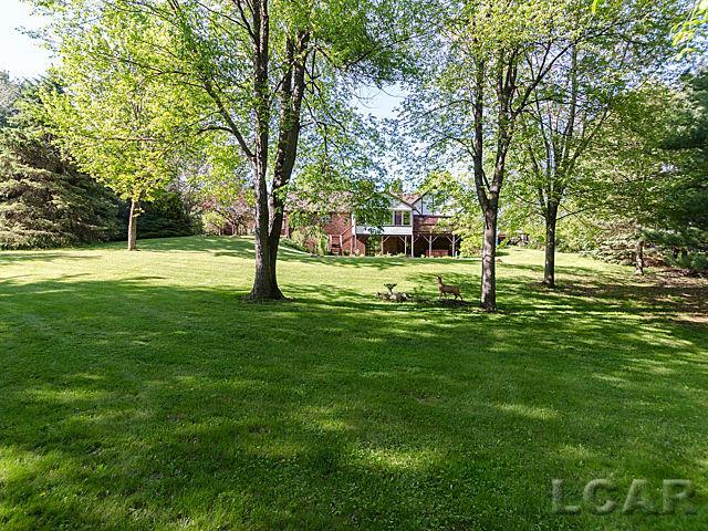 6779 West Munger Road Onsted, MI 49265 - Photo 18 of 46 31244419-17.JPG