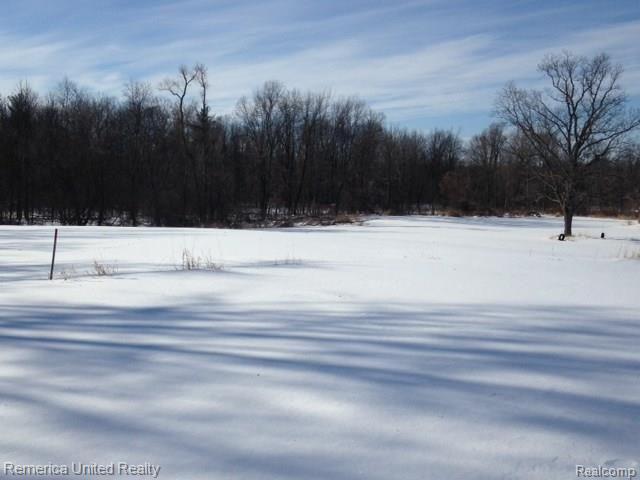 0 Hartland Road Hartland, MI 48353 - Photo 2 of 4 01.jpg