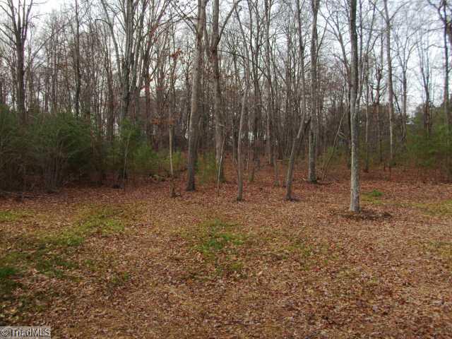 611 Liberty Church Road Mocksville, NC 27028 - Photo 5 of 16 Land/Lot.