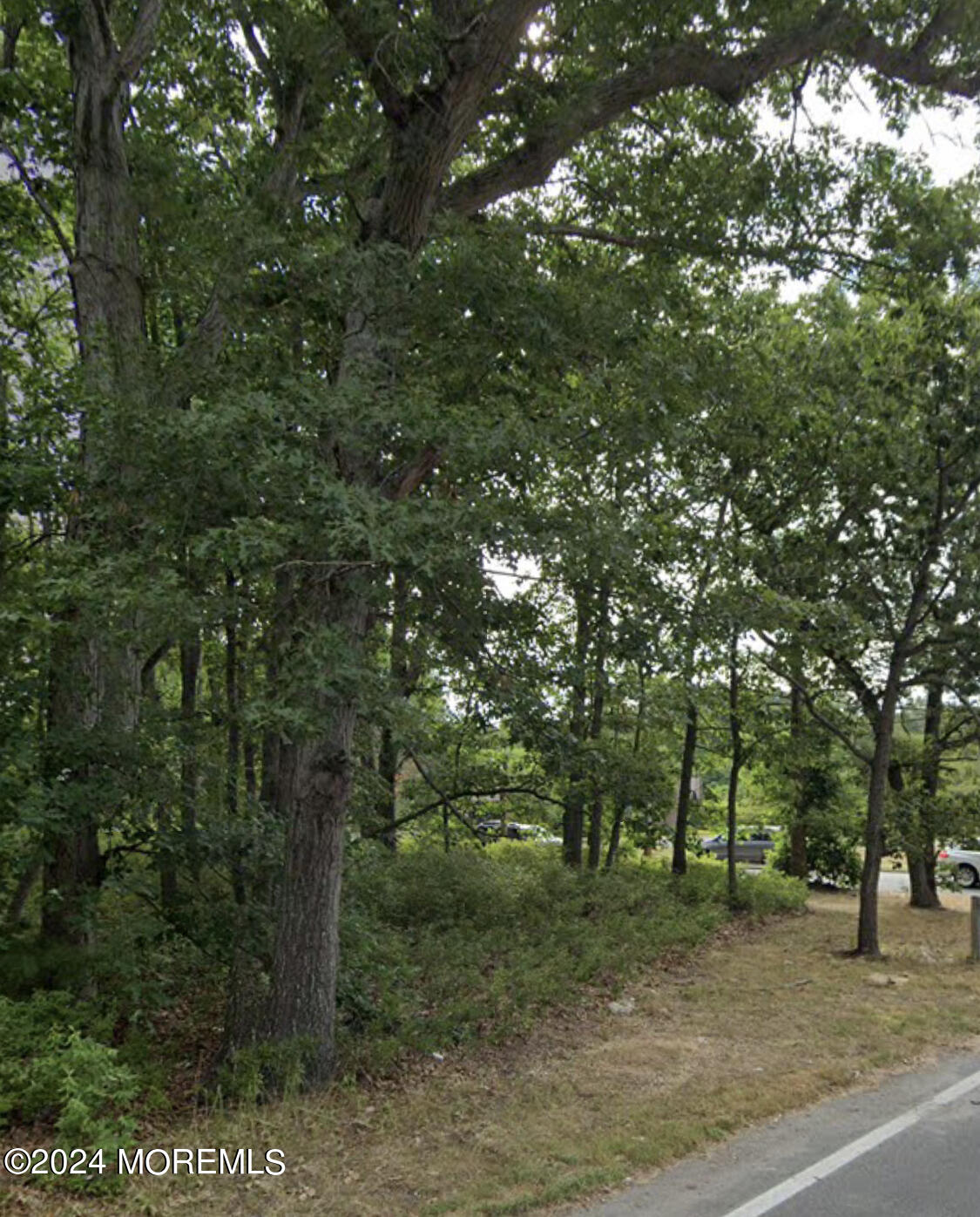 0 Woodlane Road Jackson, NJ 08527 - Photo 1 of 3 Woodlane2