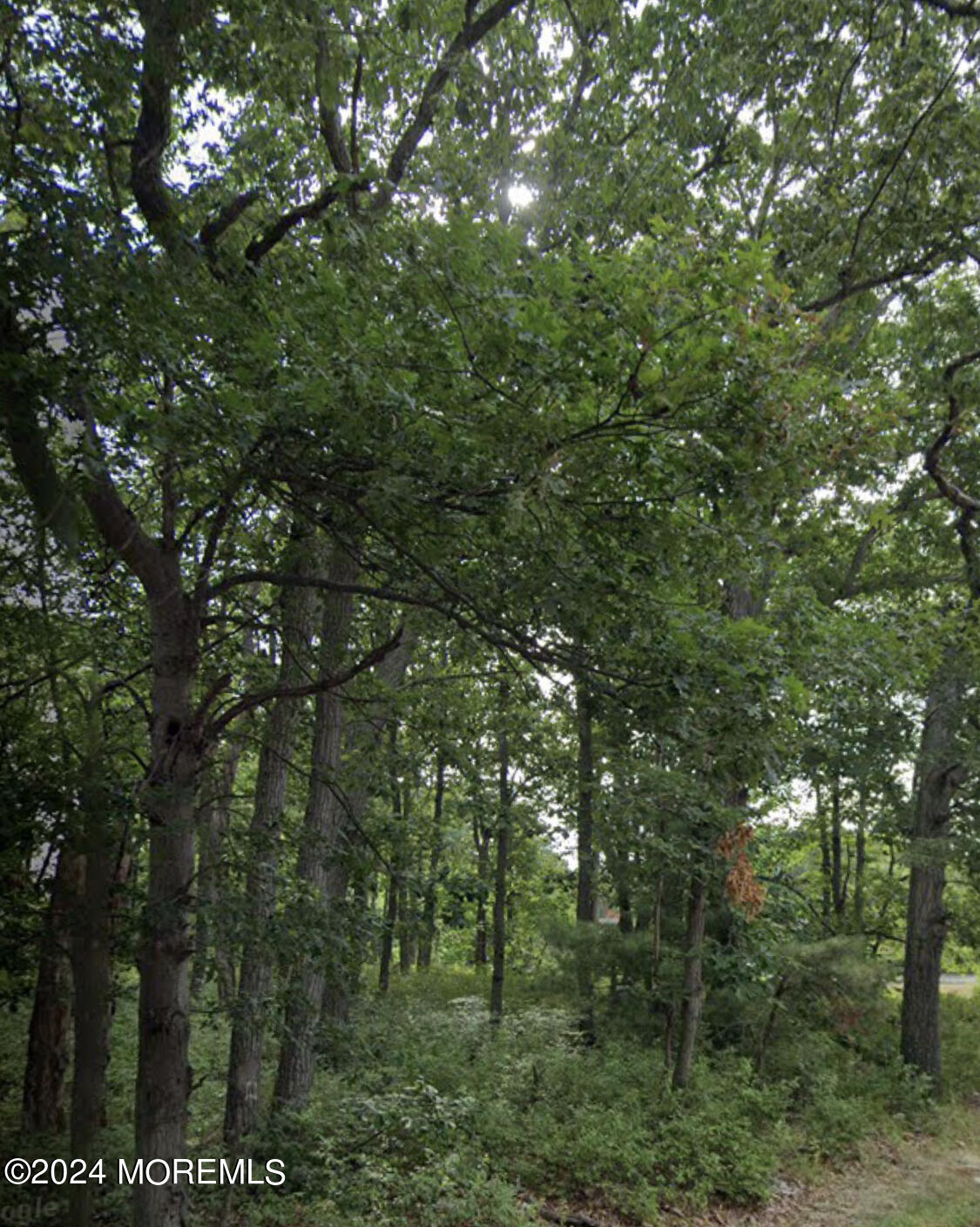 0 Woodlane Road Jackson, NJ 08527 - Photo 2 of 3 Woodlane1