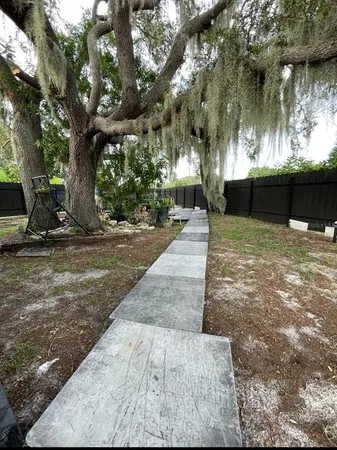 a view of a yard with plants