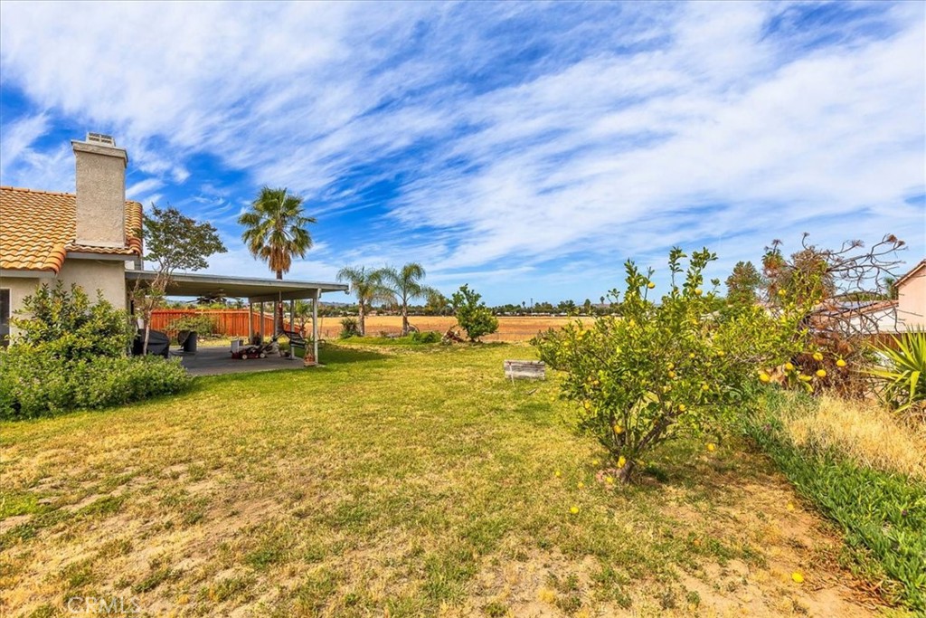 44194 Meadow Grove Street Hemet, CA 92544 - Photo 31 of 42 a view of a house with a big yard potted plants and large tree