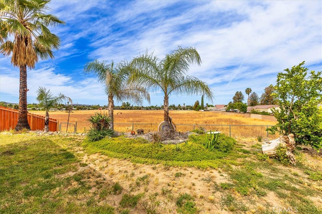 44194 Meadow Grove Street Hemet, CA 92544 - Photo 35 of 42 a view of a yard with a palm tree