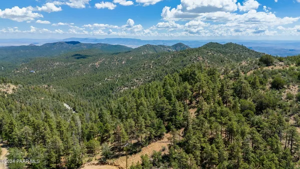 a view of a mountain range with lush green forest