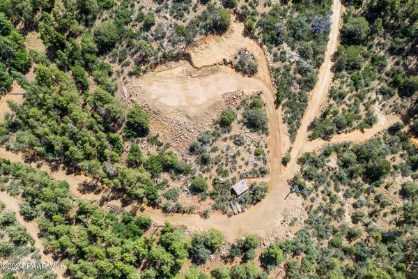a view of a bunch of trees