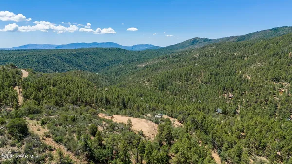 a view of a lush green forest with a houses