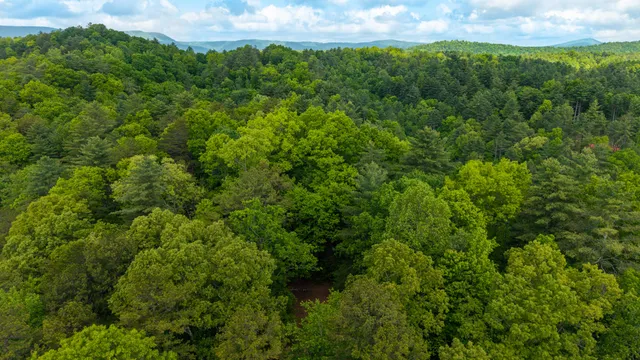 $109,800 | 0 Towee Mountain Drive, Reliance, TN 37369