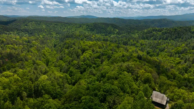 $109,800 | 0 Towee Mountain Drive, Reliance, TN 37369