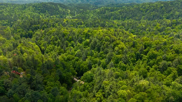 $109,800 | 0 Towee Mountain Drive, Reliance, TN 37369