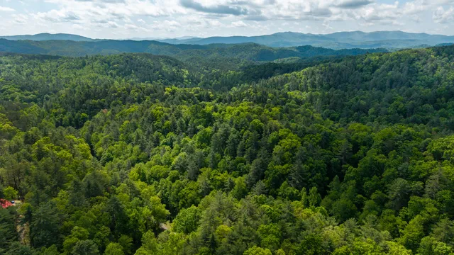 $109,800 | 0 Towee Mountain Drive, Reliance, TN 37369