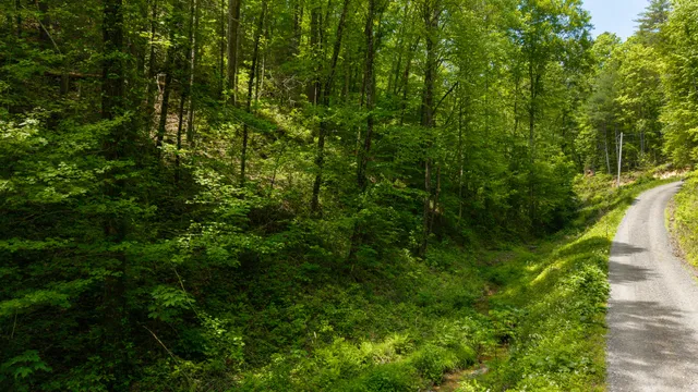 $109,800 | 0 Towee Mountain Drive, Reliance, TN 37369