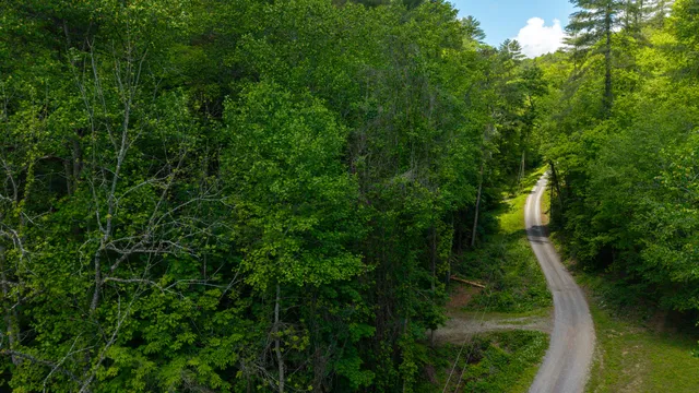 $109,800 | 0 Towee Mountain Drive, Reliance, TN 37369