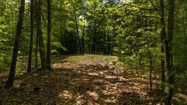 $109,800 | 0 Towee Mountain Drive, Reliance, TN 37369